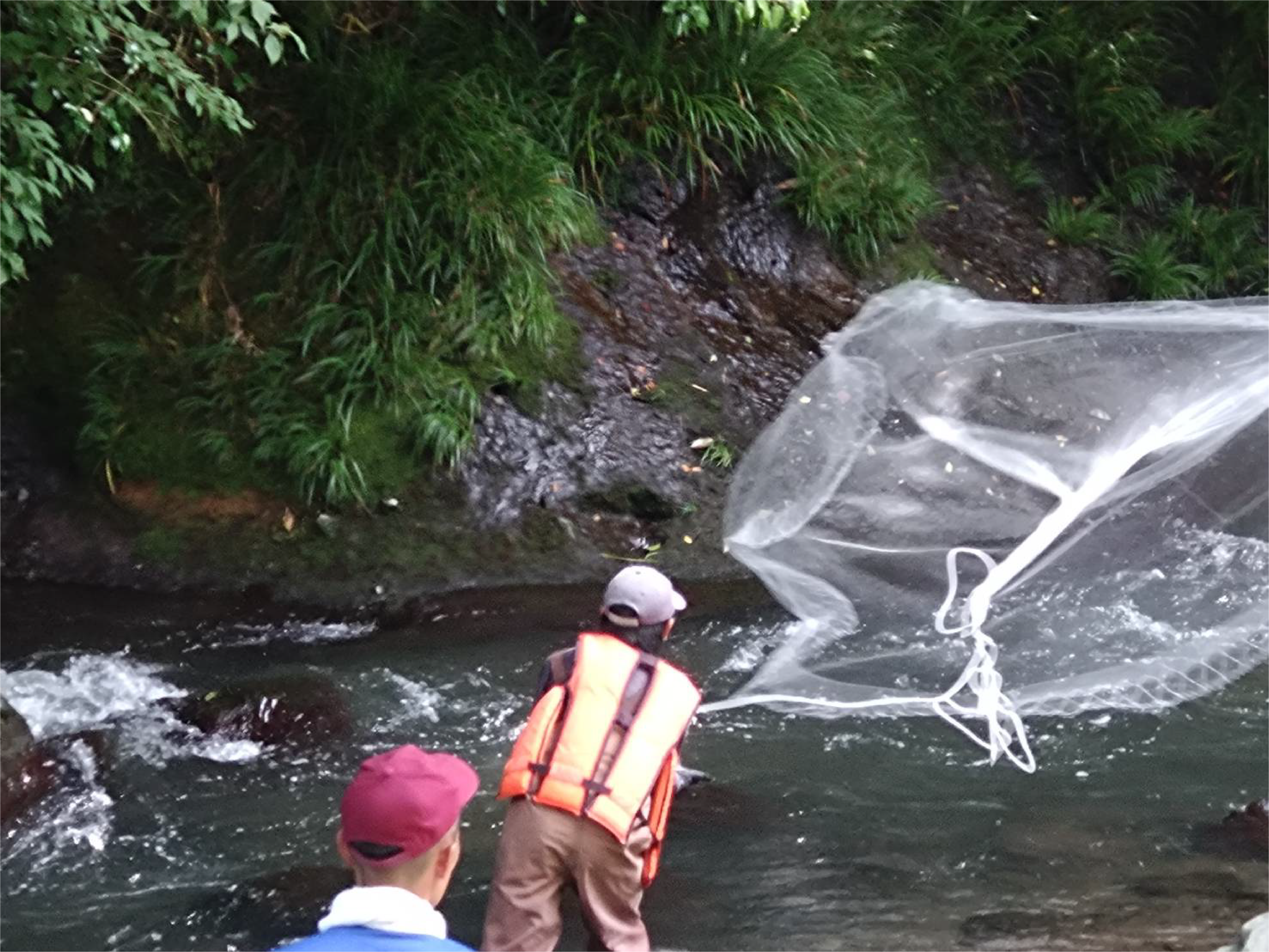 川に入っての調査