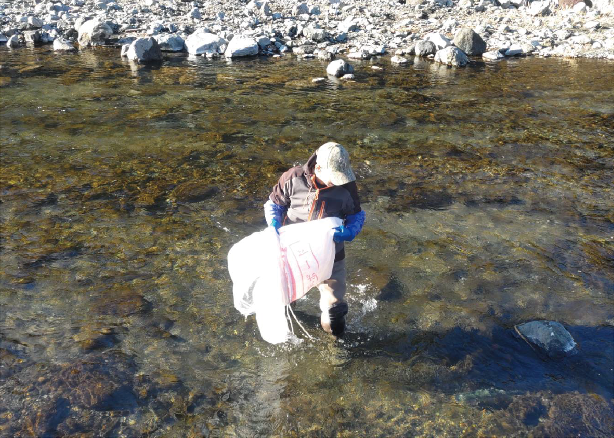 12/21　放流を行う漁協員